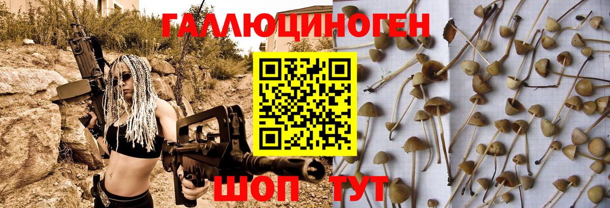 Галлюциногенные грибы Cubensis Кунгур