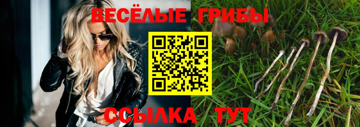 как найти наркотики  Галлюциногенные грибы мухоморы  Кунгур  Вход с VPN  Галлюциногенные грибы Magic Shrooms 